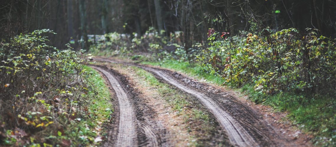 muddy forest track